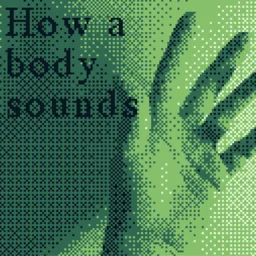 How a body sounds